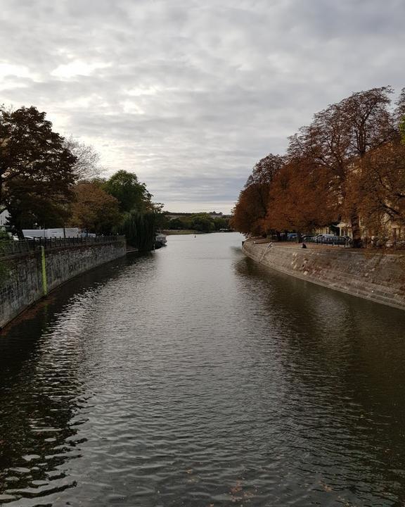 Freischwimmer