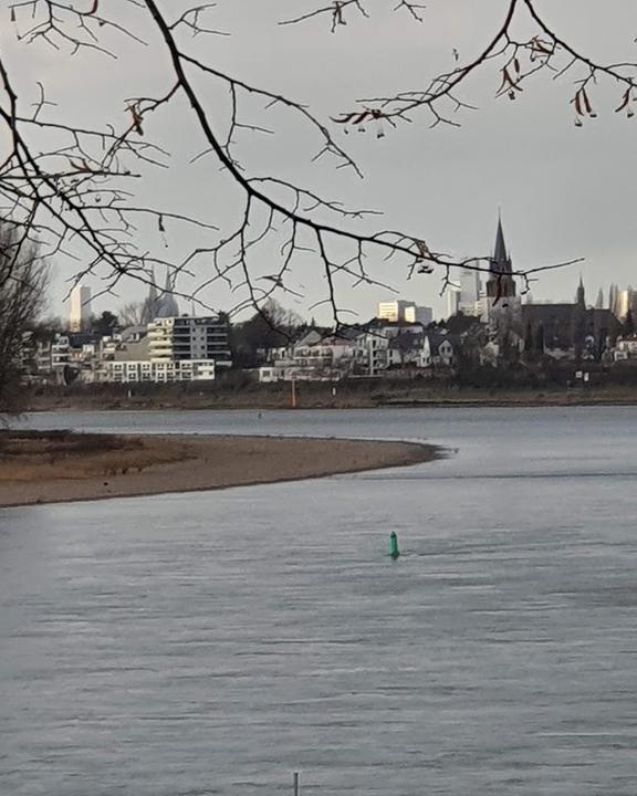 Rheinblick