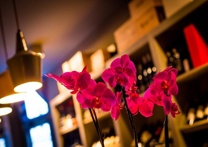Calistoga Wine Saloon