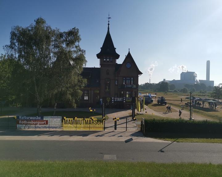 Elbinsel