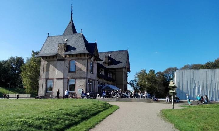 Elbinsel