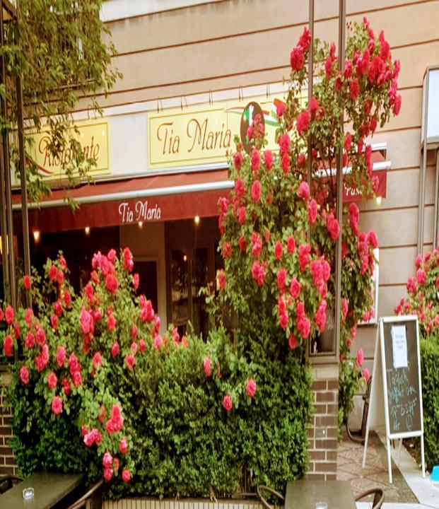 Tia Maria Ristorante
