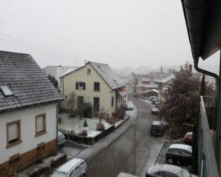 Eichbaum