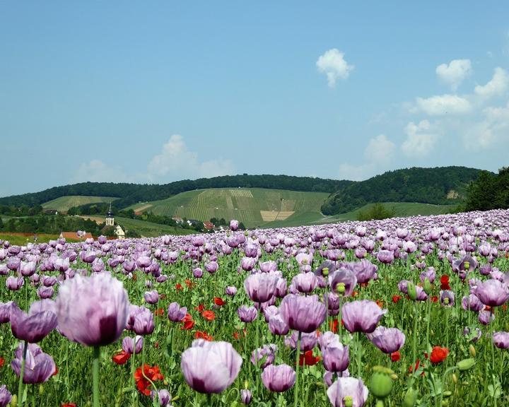 Hotel-Restaurant Rebstock