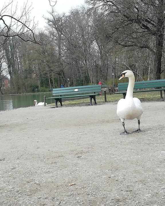 Seehaus im Englischen Garten