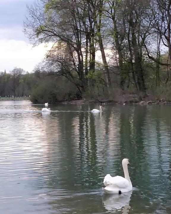 Seehaus im Englischen Garten