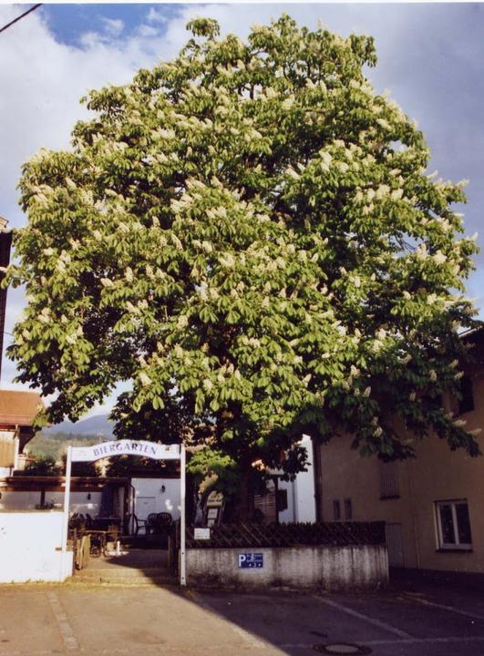 Gasthof Schaeffler