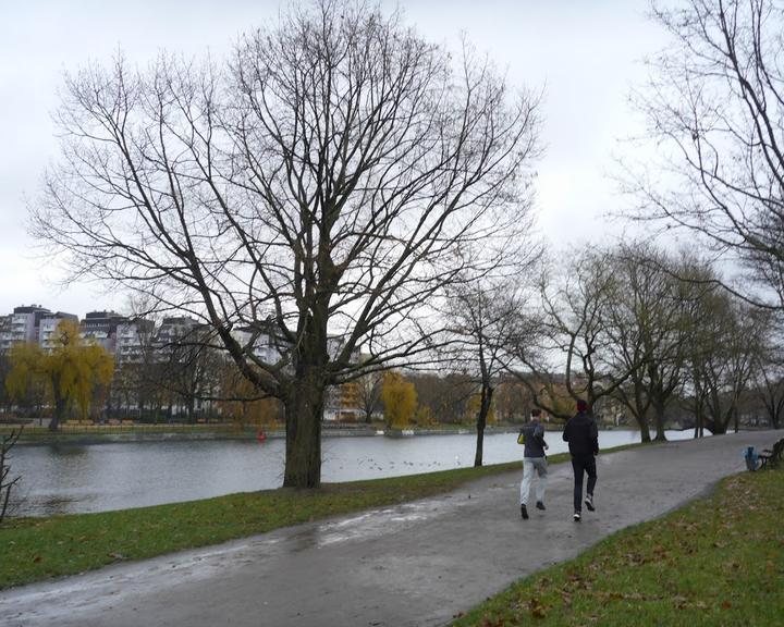 van Loon