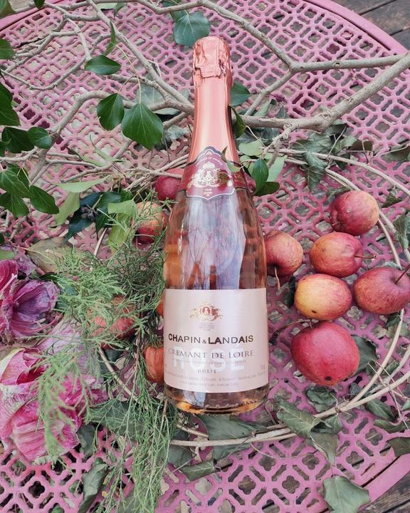 Vins et Co / Vin de Vie