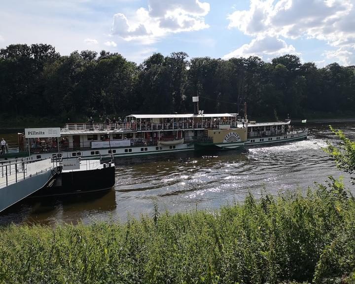 Pillnitzer Elbblick