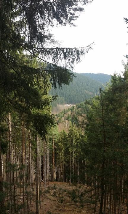Waldbaude am Staudamm