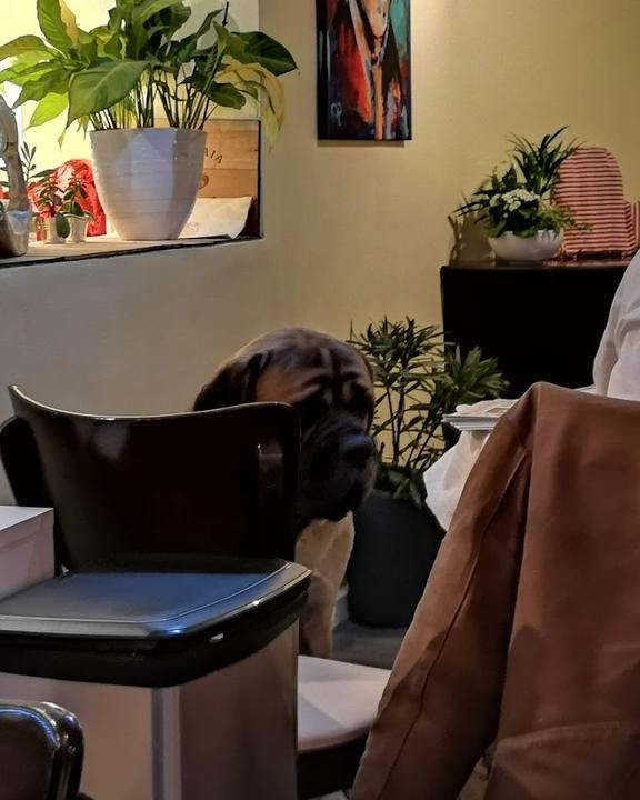 De Vivos Ristorante